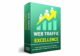 Web-Traffic-Excellence_600x394