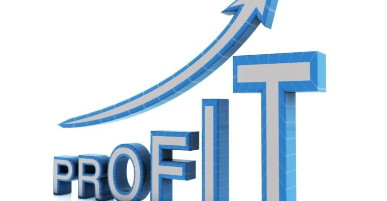 How to Turn a Profitable Skillset in Cotonou – The Justfine Infotech Training Advantage