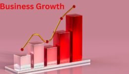 Business Growth in Cotonou: 5 Local Success Stories Boosted by Justfine Infotech