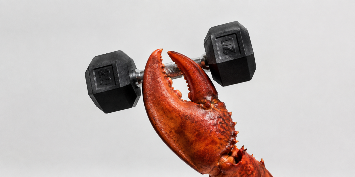 Tech industry is buzzing after a Claude agent hacked into a gym | TechCrunch