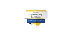 google cyber security