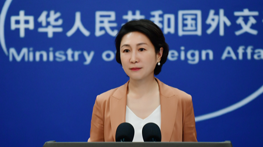 China nominates Song Li to run for WHO director-general: Chinese FM